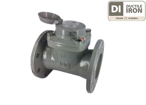 Woltman Water Meter (R80)